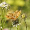 347948 – Photo : lguez – France (12)